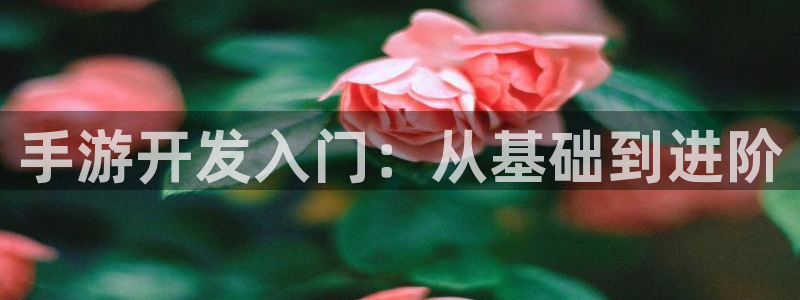 28pc大神：手游开发入门：从基础到进阶