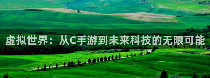28大神吧怎么进不去了：虚拟世界：从C手游到未来科技的无限可