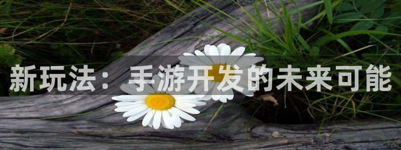 大神28官网预测：新玩法：手游开发的未来可能