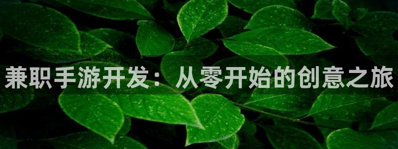 28大神加拿大：兼职手游开发：从零开始的创意之旅