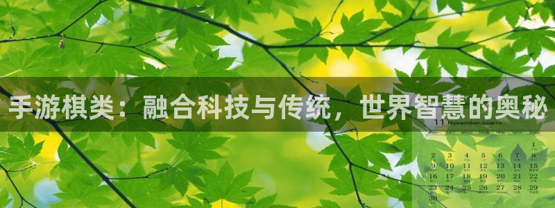 大神28预测在线预测专业28：手游棋类：融合科技与传统，世界