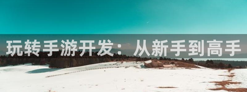大神28助手：玩转手游开发：从新手到高手