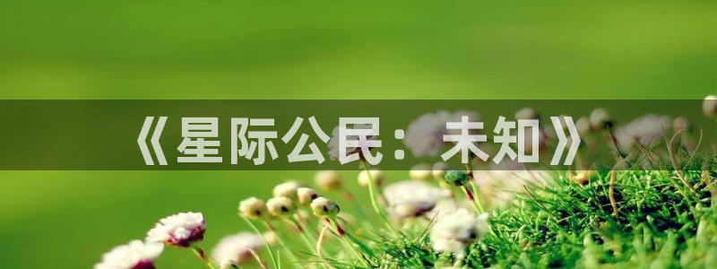 28大神怎么用不了了：《星际公民：未知》