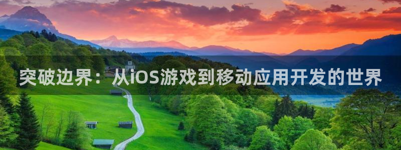 大神28在线：突破边界：从iOS游戏到移动应用开发的世界