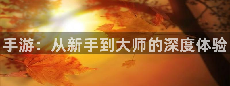 大神28开奖预测网站刘伯温