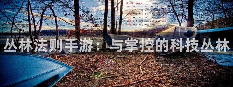 28加拿大大神预测