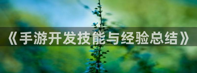 大神28官网开奖结果：《手游开发技能与经验总结》