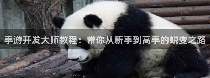 加拿大pc28开奖网站大神：手游开发大师教程：带你从新手到高