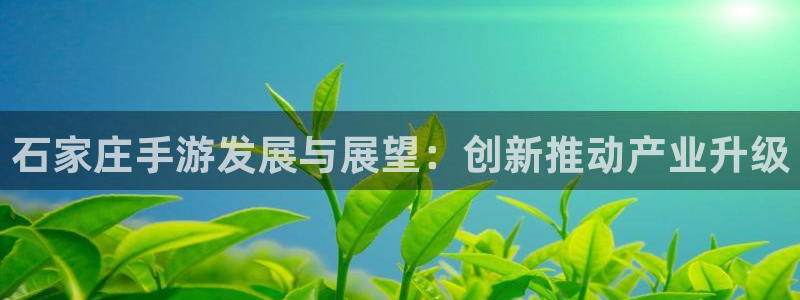 大神28开奖：石家庄手游发展与展望：创新推动产业升级