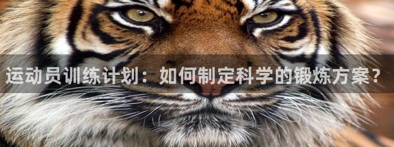 球客岛：运动员训练计划：如何制定科学的锻炼方案？
