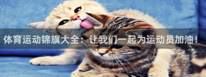 球客岛：体育运动锦旗大全：让我们一起为运动员加油！