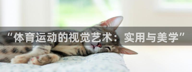 球客岛：“体育运动的视觉艺术：实用与美学”