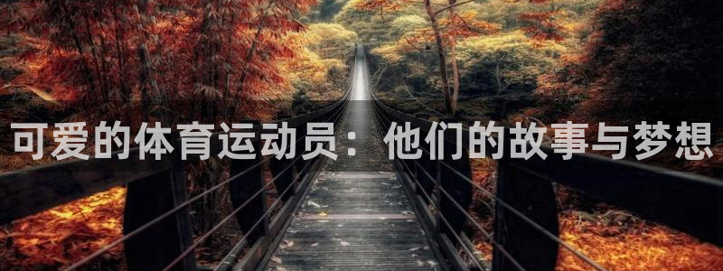 球客岛：可爱的体育运动员：他们的故事与梦想