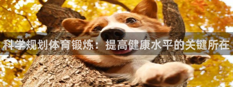 球客岛：科学规划体育锻炼：提高健康水平的关键所在