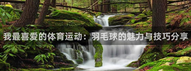 球客岛：我最喜爱的体育运动：羽毛球的魅力与技巧分享