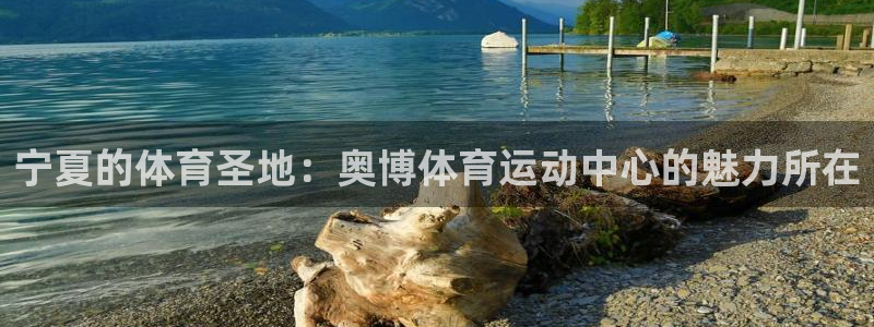 球客岛：宁夏的体育圣地：奥博体育运动中心的魅力所在